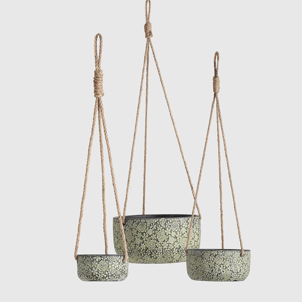 Pinewood set of 3 - Living Shapes