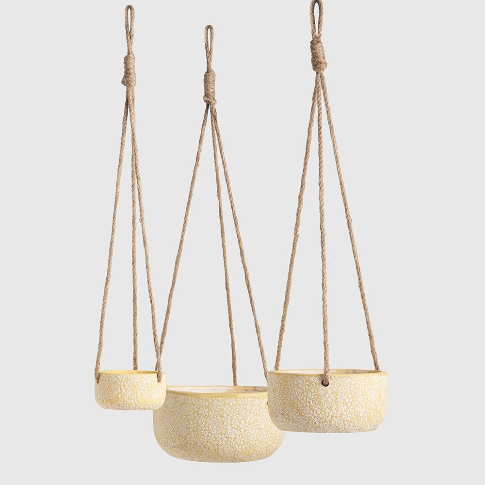 Radiance Set of 3 - Living Shapes