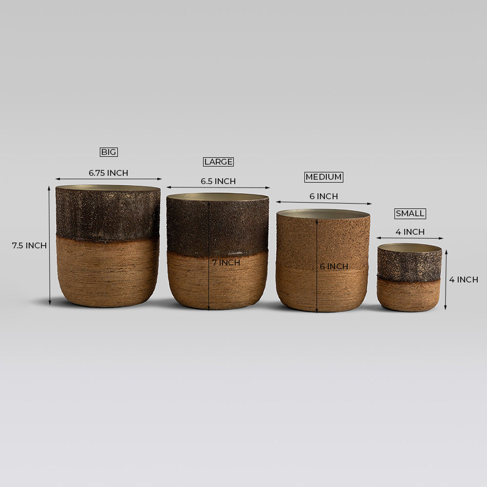 Juniper Planter