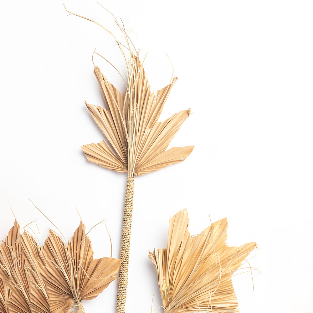 Yarrow Vase Accessory
