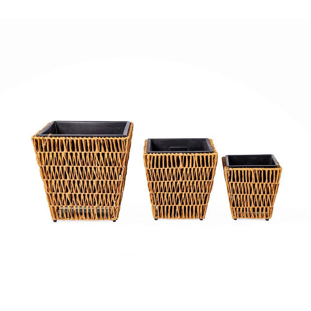 Yewgrove Set Of 3 Pcs (7869611868350)
