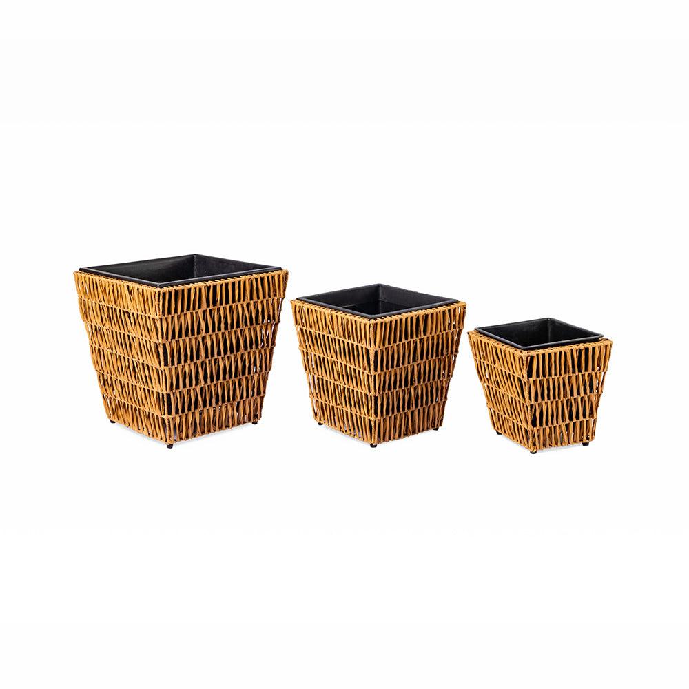Yewgrove Set Of 3 Pcs (7869611868350)