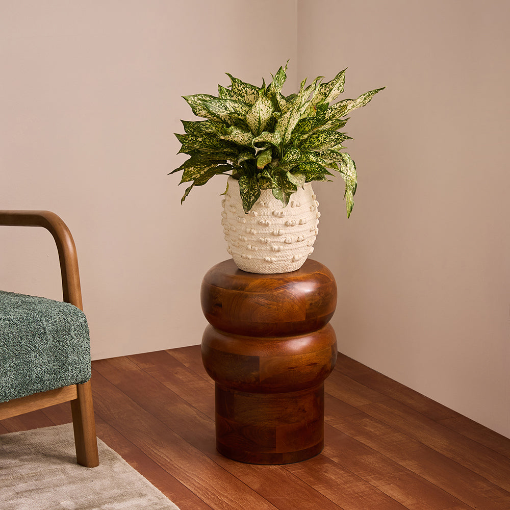Sentinel Stool