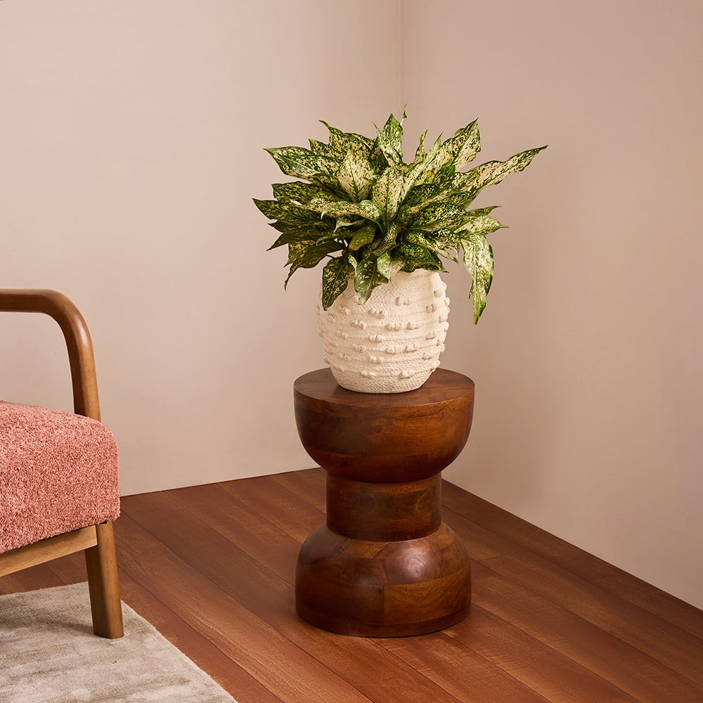 Wildroot Stool