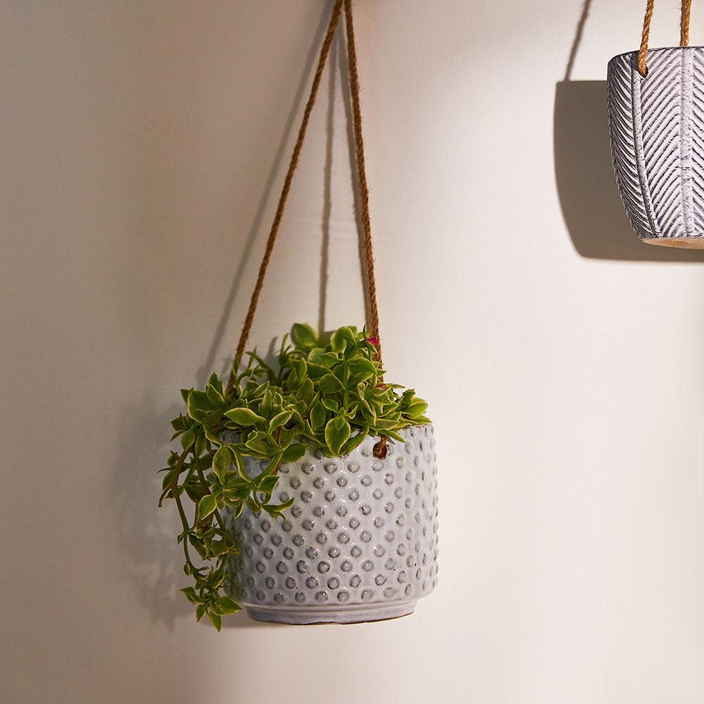 Oakmere Hanging Pot - Living Shapes
